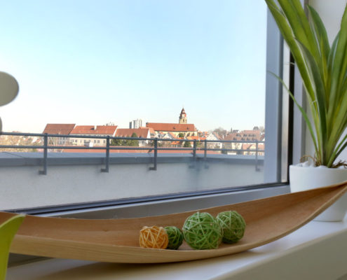 Ausblick auf die Leonberger Altstadt